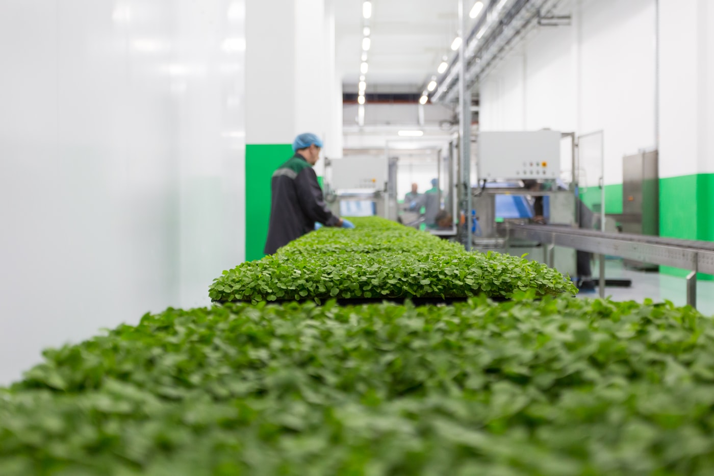 Agricultural processing plant